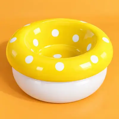 Ceramic Bowl