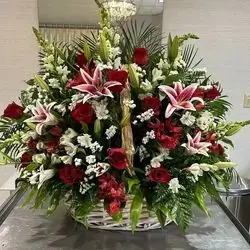 Basket Flower