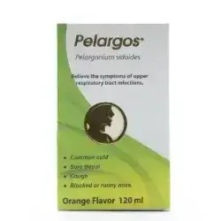 Pelargos Orange Flavor Syrup 120 ml (Philadilphia)