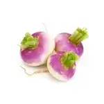 Turnip