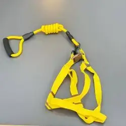 Dog Leash + Harness 