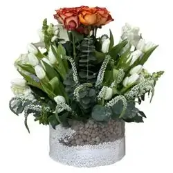 Tulip And Rose With Transparent Box