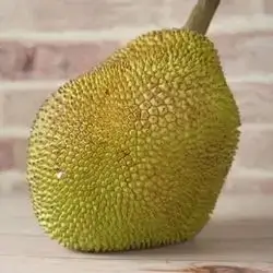 Jackfruit