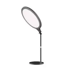Light With Extendable Desktop Stand