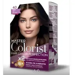 MASTER colorist HAIR COLOR PERFECTION#4.0