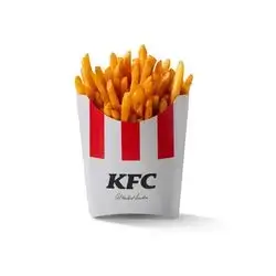 Large Spicy Fries