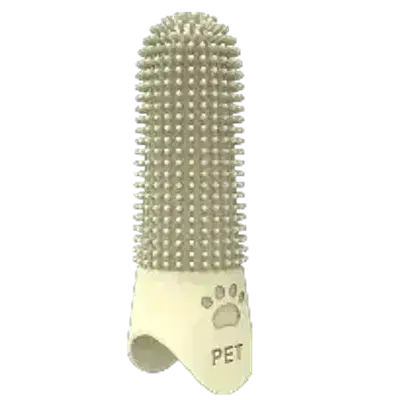 Tooth Brush
