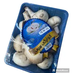Mushroom