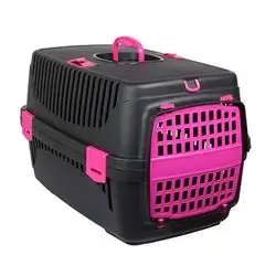 Pet Carriage