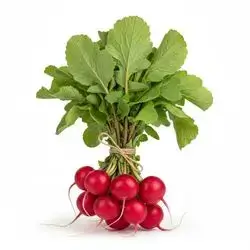 Red Radish