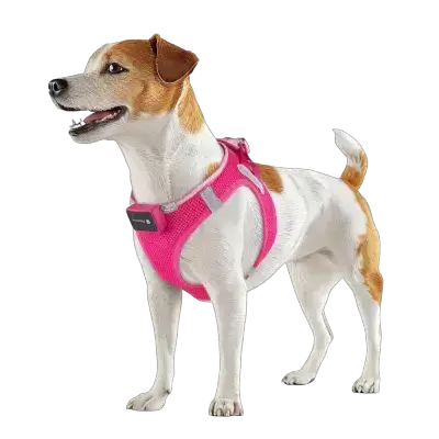 PcEoTllar LED Harness