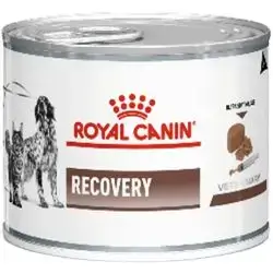 Recovery Cat Dog 195g