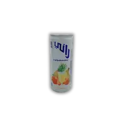 Rani Fruit Mix Drink 240 ml