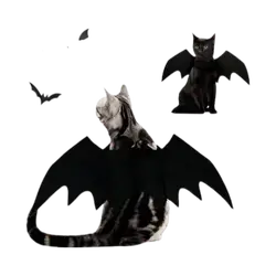 Halloween Bat Wings