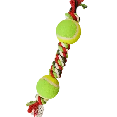 Dog Toy