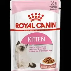 Royal Canin kitten pouch 