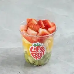 Normal Cup S