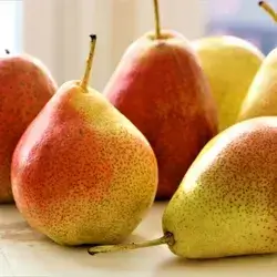 African Pear