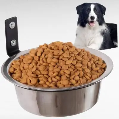 Steel Bowl