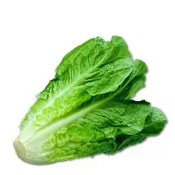 Lettuce 1Kg