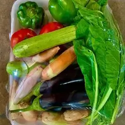 Dolma Package Not Ready