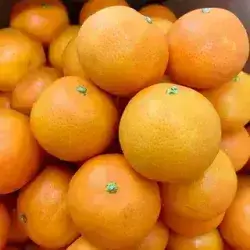 Iraqi Oranges