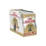 Royal Canin British Shorthair 12x