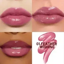 Lip Glaze Plumping Gloss -01