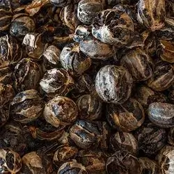 Dried Black Lemon Basra