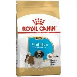 Shih Tzu Puppy 1.5 Kg
