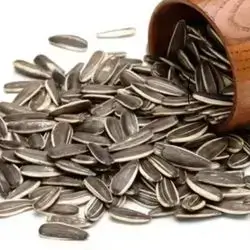 Sunflower Seeds