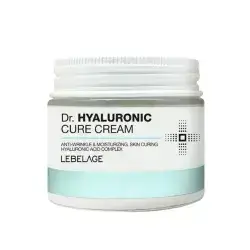 LEBELAGE Dr Hyaluronic Cure Cream 70ml