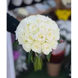 20 Rose