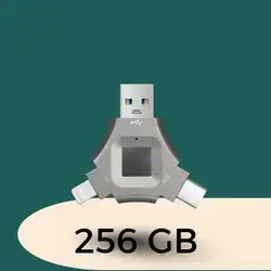 256GB Flash Drive.