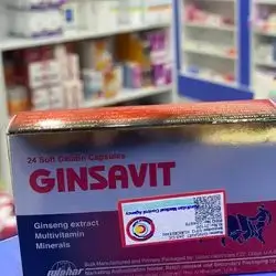 GINSAVIT