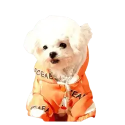Pet Cloth for Winter XS