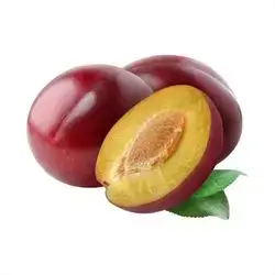 Red-Yellow Plum