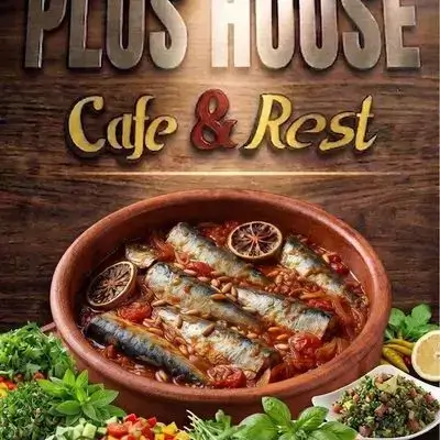 Oven Fish Plate