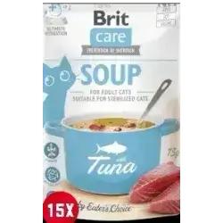 Soup with Tuna 15x