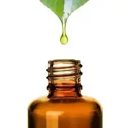 Calptus Oil 
