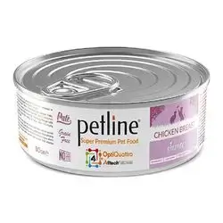 Petline Kitten