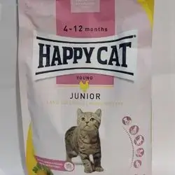 Happy Cat
