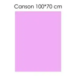 Canson Paper ( Light Pink) 100 X 70 cm