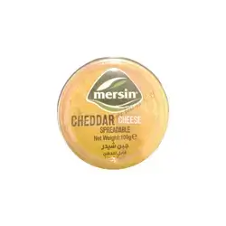 Mersin Cheddar Cheese 100g