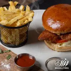 Chicken Burger + Fries