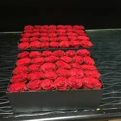 Box Flower-Red