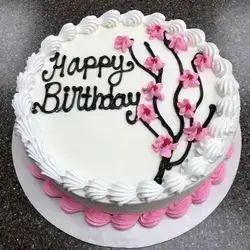 Large Cake