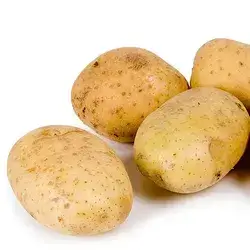 Syrian Potato