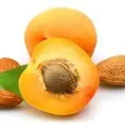 apricot