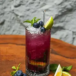 Blueberry Mojito